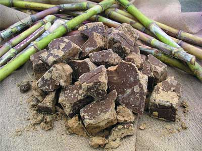 奄美本島の宇検村産のサトウキビ(黒糖)